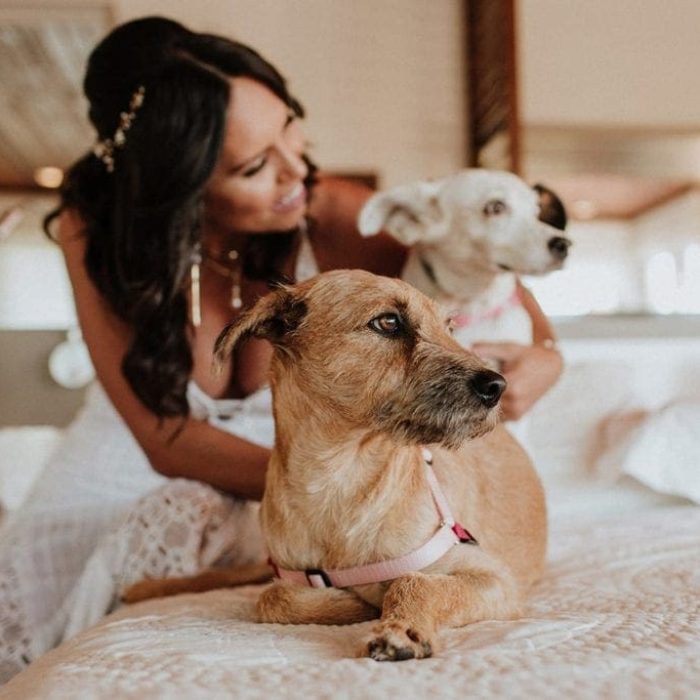 casamento pet friendly