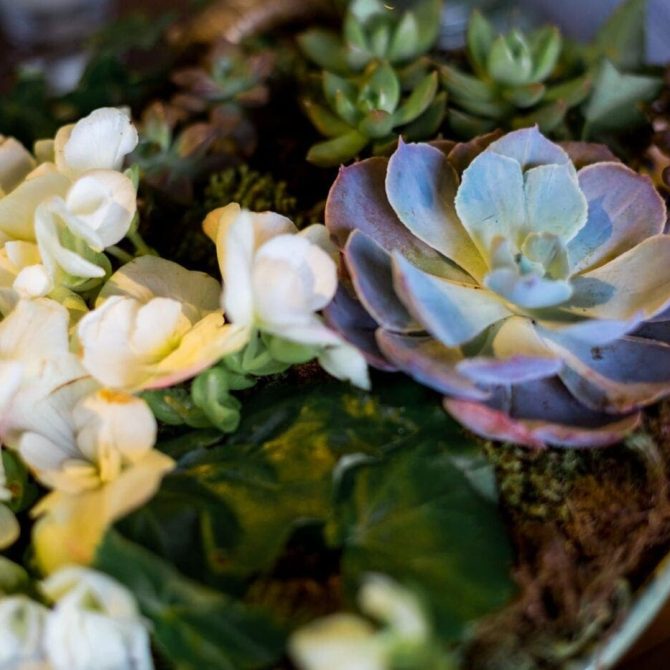 flores para casamento